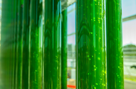 Algenproduktionsanlage_eparella (10)1400x915