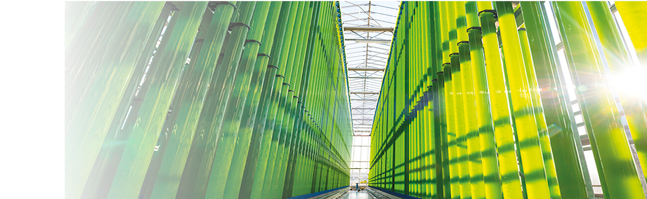 Algenproduktionsanlage_eparella (2)2600x1558 VL