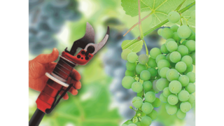 KAESER Industrie-Kolbenkompressoren im Weinbau.